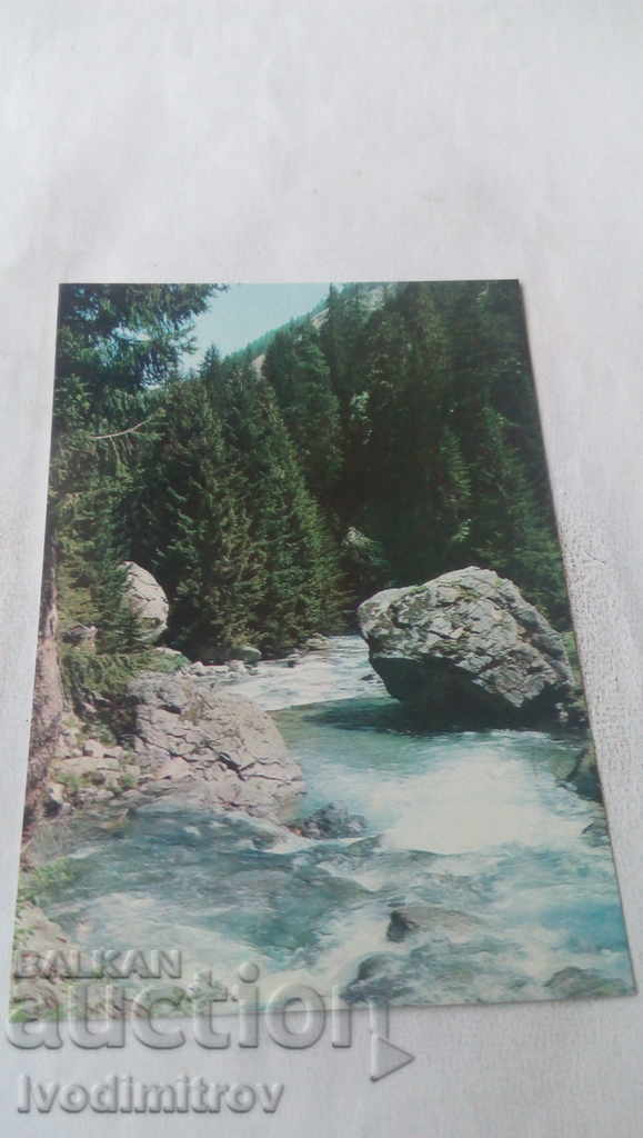 Postcard Pirin Demyanitsa River 1973