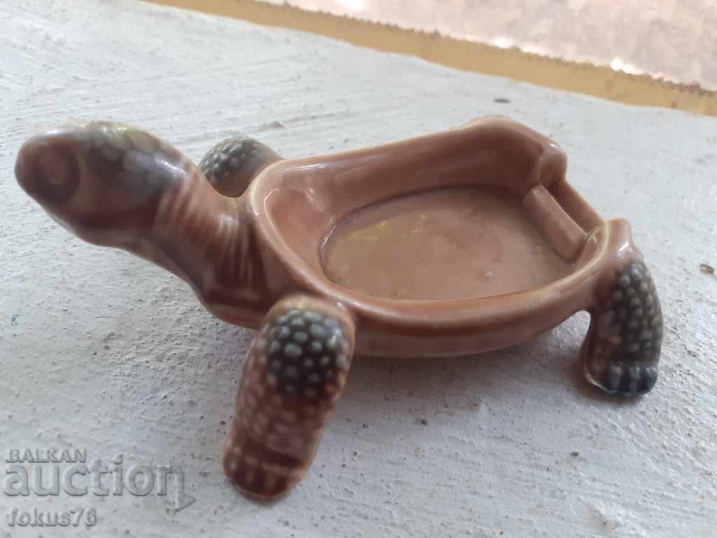 An old English porcelain turtle