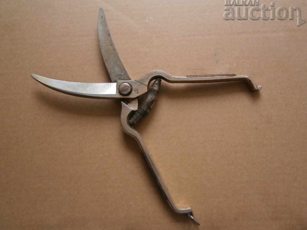 bone scissors SOLINGEN with price 41.00 BGN | € 20.96 bone scissors SOLINGEN with price 41.00 BGN | € 20.96