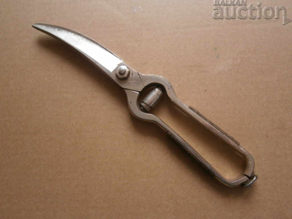 Auction bone scissors SOLINGEN Auction bone scissors SOLINGEN