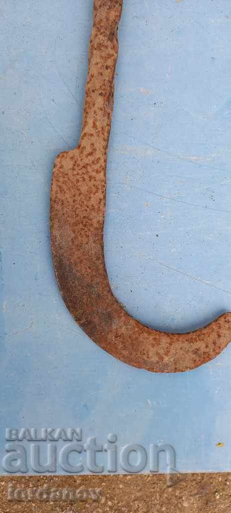 Old chick - 6 Old chick - 6