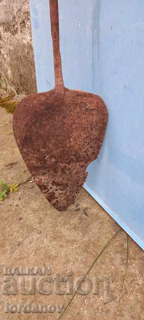 Old chick - 5 Old chick - 5