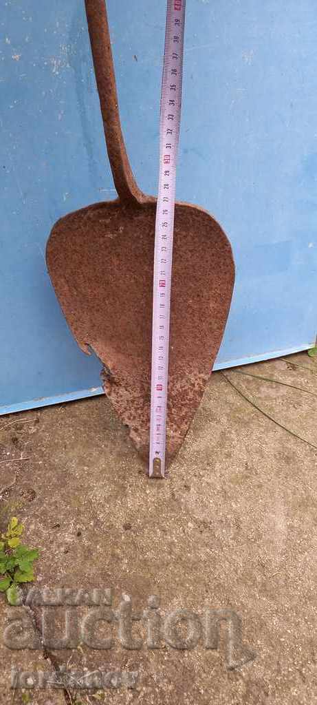 Old chick - 6 Old chick - 6