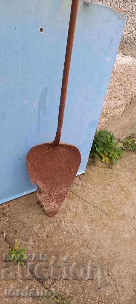 Old chick - 7 Old chick - 7