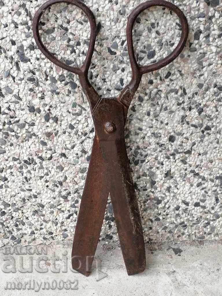 Παλιά πλαστά ψαλίδι με κύριο εκτύπωσης, σφυρήλατο σίδερο - 6 Παλιά πλαστά ψαλίδι με κύριο εκτύπωσης, σφυρήλατο σίδερο - 6