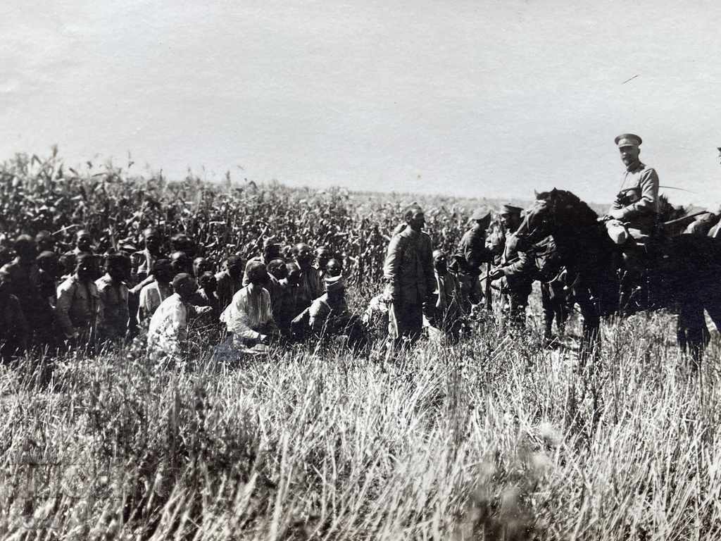 Captive Romanians Paracoi Dobrudja Colonel Parvan Parvanov with price 120.00 BGN | € 61.36 Captive Romanians Paracoi Dobrudja Colonel Parvan Parvanov with price 120.00 BGN | € 61.36