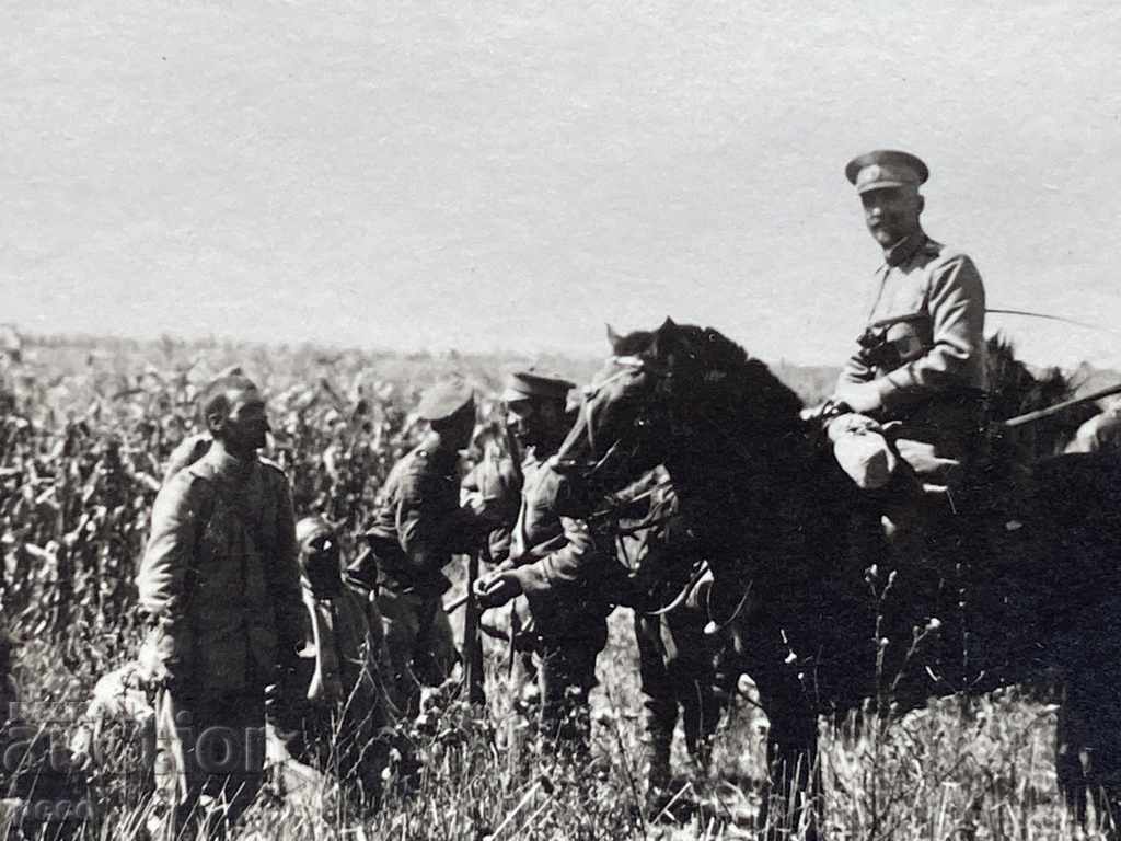 Auction Captive Romanians Paracoi Dobrudja Colonel Parvan Parvanov Auction Captive Romanians Paracoi Dobrudja Colonel Parvan Parvanov