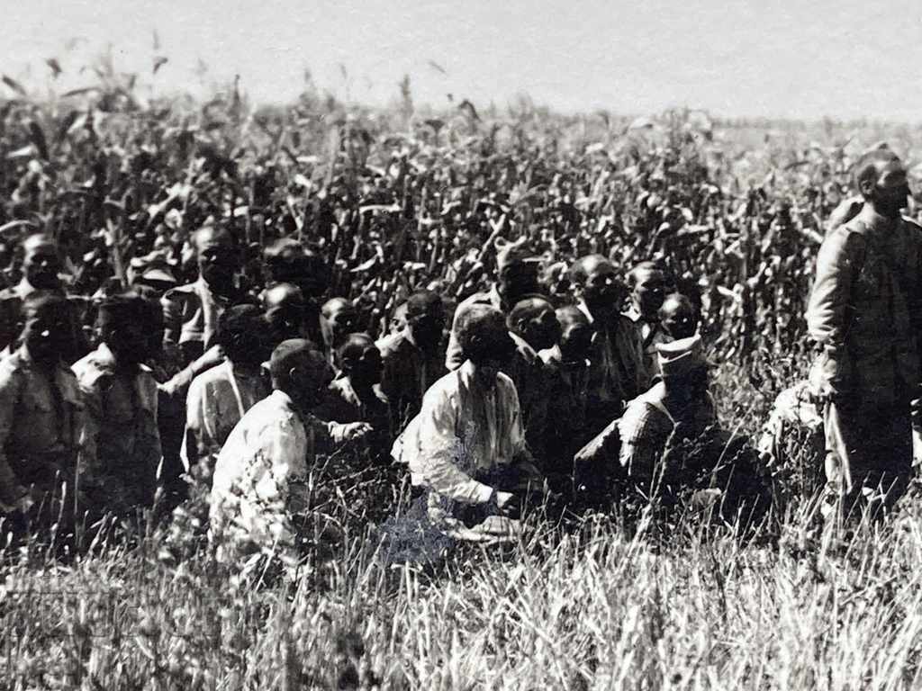 Delivery of Captive Romanians Paracoi Dobrudja Colonel Parvan Parvanov Delivery of Captive Romanians Paracoi Dobrudja Colonel Parvan Parvanov