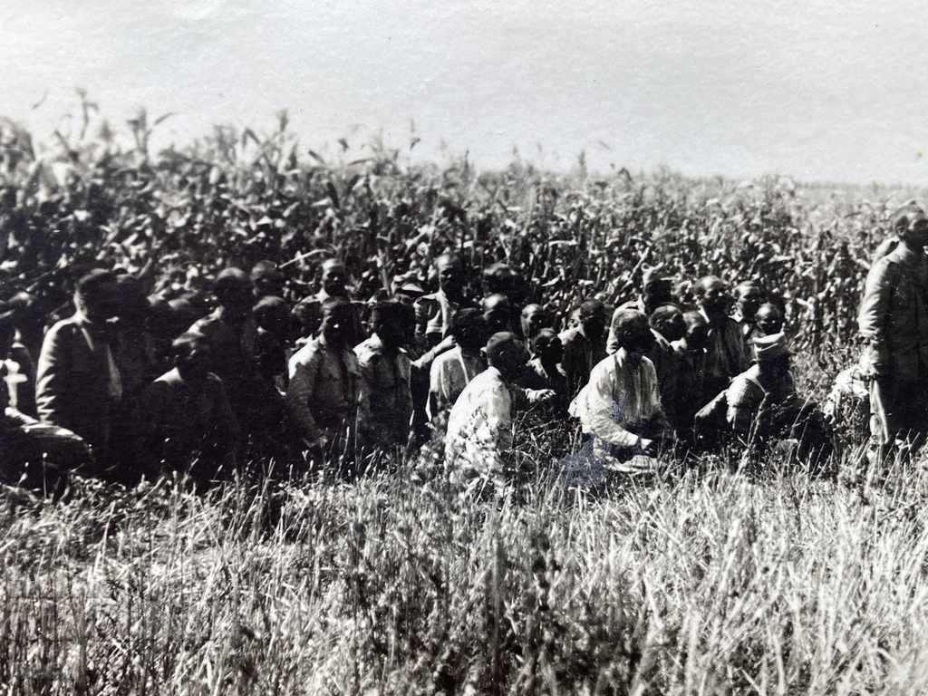 Captive Romanians Paracoi Dobrudja Colonel Parvan Parvanov - 5 Captive Romanians Paracoi Dobrudja Colonel Parvan Parvanov - 5