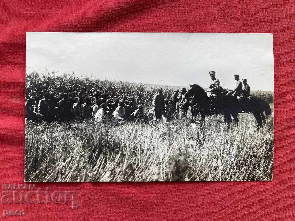 Captive Romanians Paracoi Dobrudja Colonel Parvan Parvanov - 6 Captive Romanians Paracoi Dobrudja Colonel Parvan Parvanov - 6