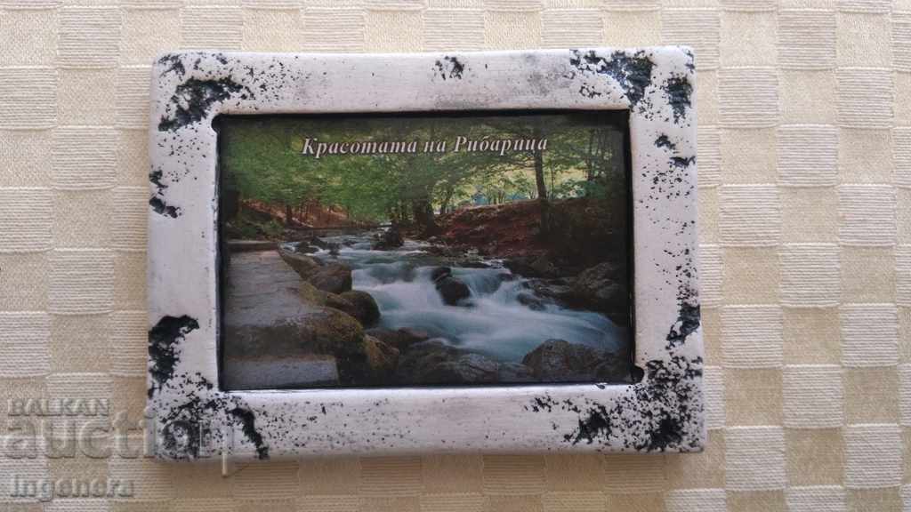 Fridge magnet with price 4.00 BGN | € 2.05