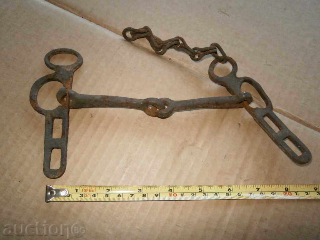 Delivery of a bridle and a grate lot Delivery of a bridle and a grate lot