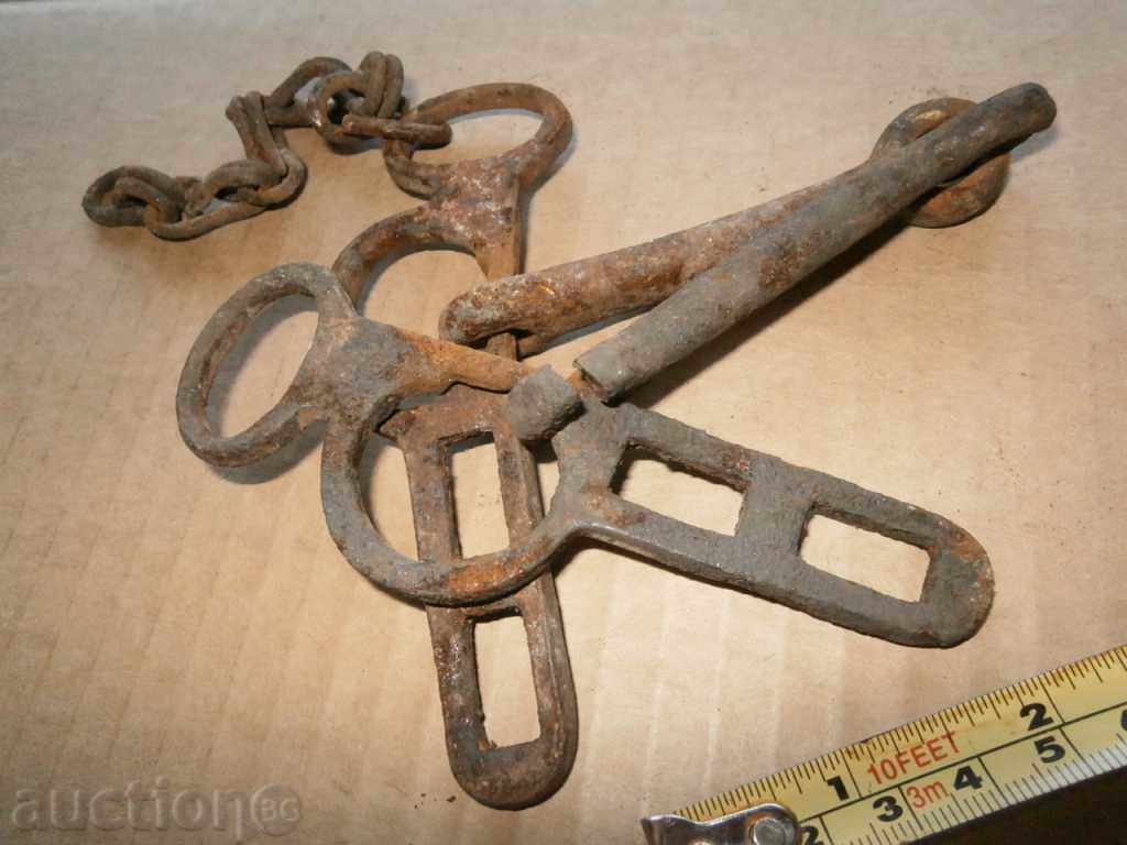 a bridle and a grate lot - 6 a bridle and a grate lot - 6