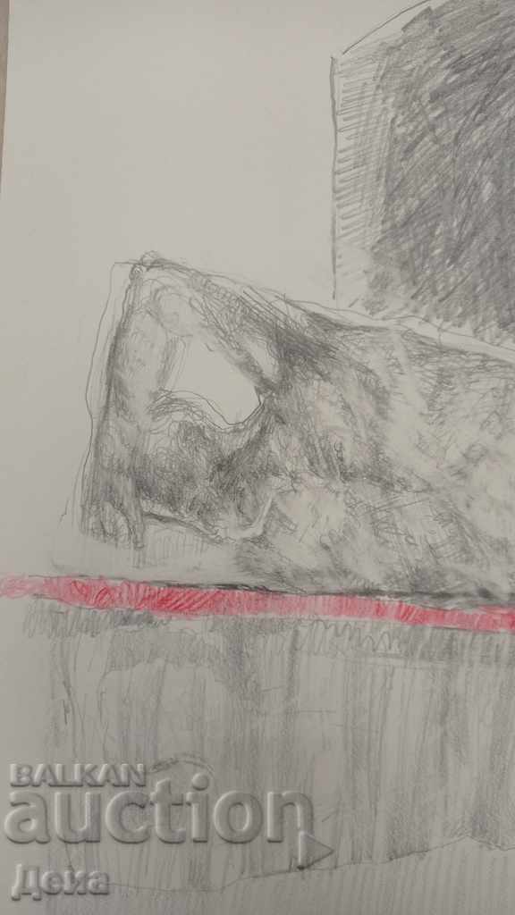 Licitație Stefka Arroyo, DESEN