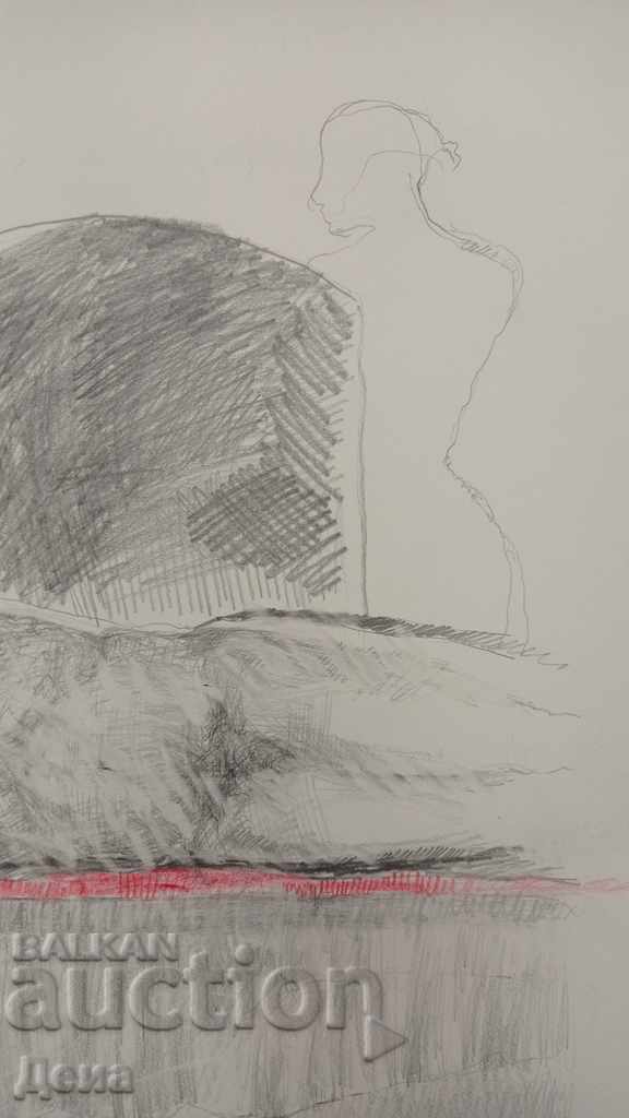 Livrarea Stefka Arroyo, DESEN