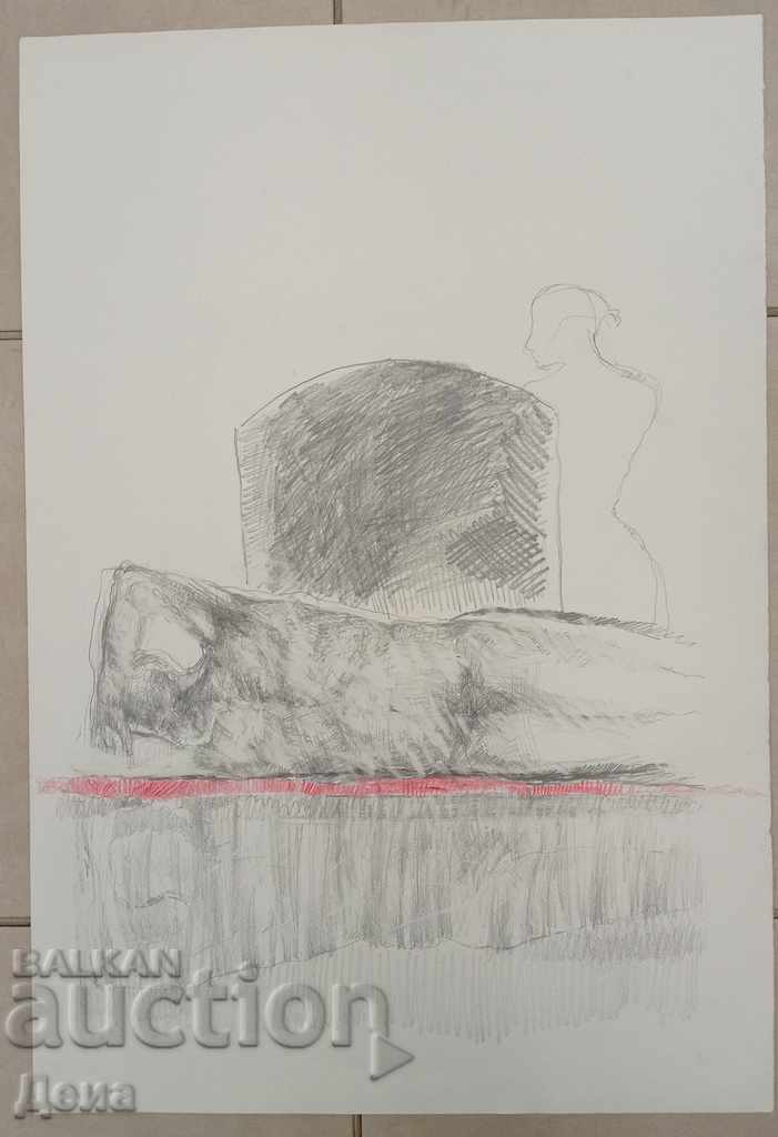 Stefka Arroyo, DESEN