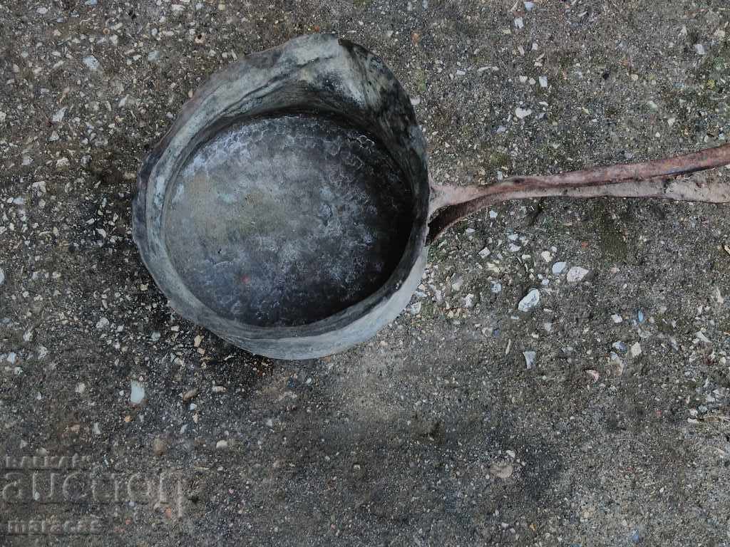 Bătrân urs de cupru Bătrân urs de cupru