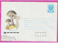 271196 / Bulgaria pură IPTZ 1990 Mushroom Boletus edulis