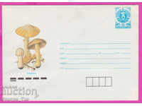 271202 / pure Bulgaria IPTZ 1990 Sponge mushroom