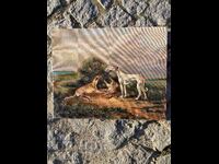 Hunting picture - greyhounds and hare