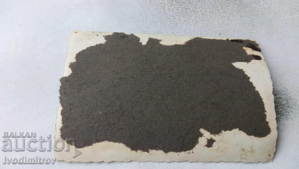 Снимка Мъже с два ретро камиона с цена 2.65 лв. | € 1.35 Снимка Мъже с два ретро камиона с цена 2.65 лв. | € 1.35