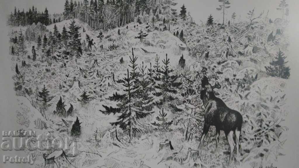 Harald Wiberg - 7 Harald Wiberg - 7