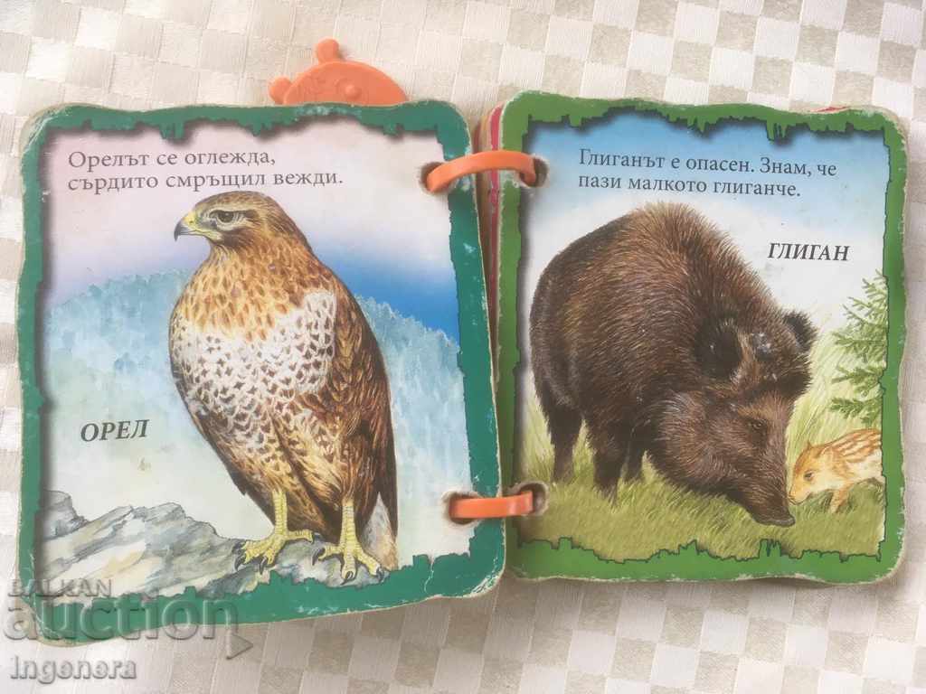 Delivery of BOOK BOOK WITH CHILDREN'S HANDLE Delivery of BOOK BOOK WITH CHILDREN'S HANDLE