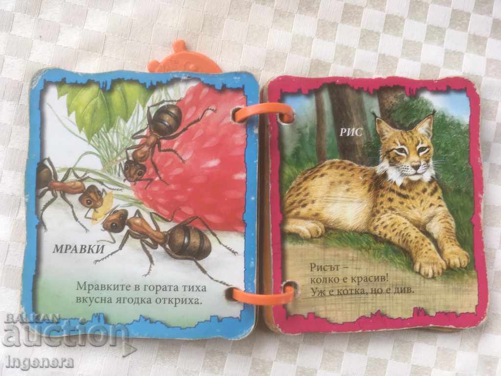 BOOK BOOK WITH CHILDREN'S HANDLE - 5 BOOK BOOK WITH CHILDREN'S HANDLE - 5