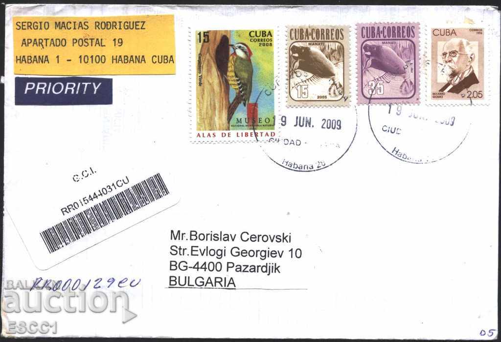 Traveled envelope with stamps Fauna Hutia 1981 2005 Woodpecker 2008 Cuba