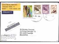 Ταξιδιωμένος φάκελος με γραμματόσημα Fauna Hutia 1981 2005 Woodpecker 2008 Κούβα