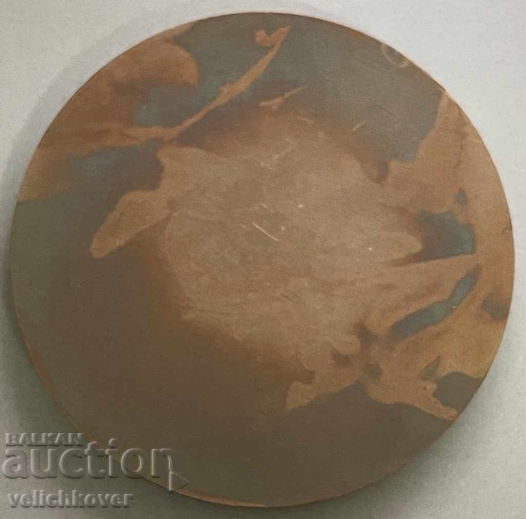 30870 Bulgaria plaque For contribution to the development of TNTM in BNA with price 20.00 BGN | € 10.23 30870 Bulgaria plaque For contribution to the development of TNTM in BNA with price 20.00 BGN | € 10.23