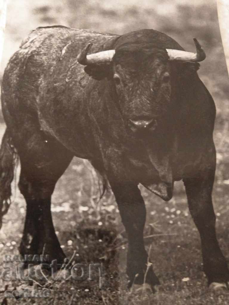 A card with price 1.00 BGN | € 0.51 A card with price 1.00 BGN | € 0.51