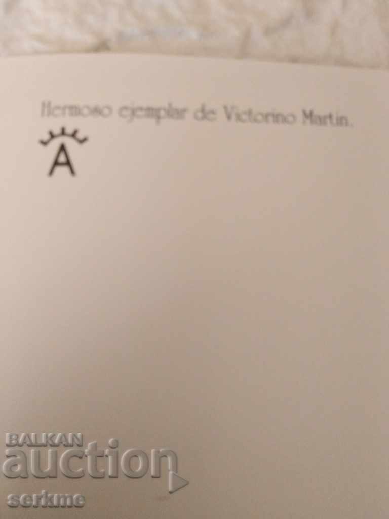 Auction A card Auction A card