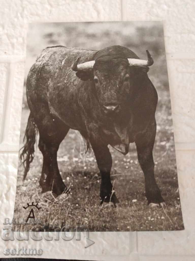 A card - 6 A card - 6