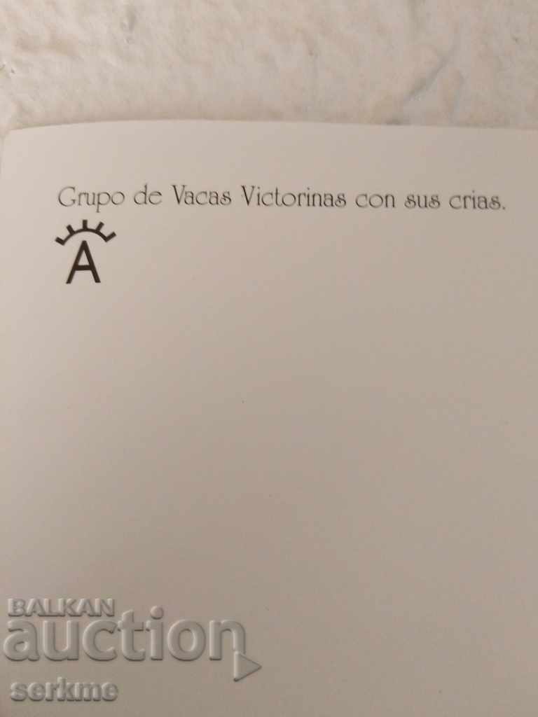 Delivery of A card Delivery of A card