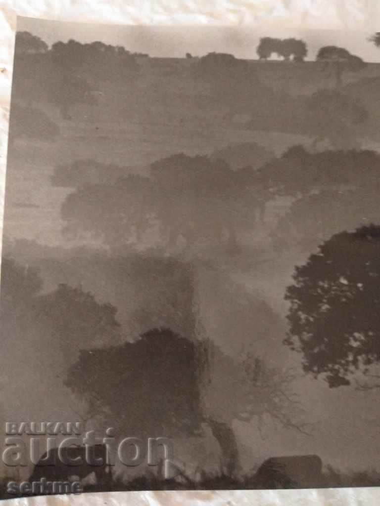 A card with price 1.00 BGN | € 0.51 A card with price 1.00 BGN | € 0.51