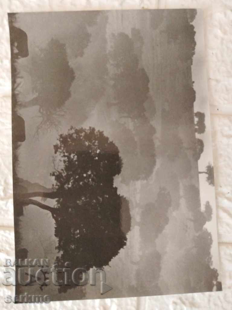 A card - 5 A card - 5