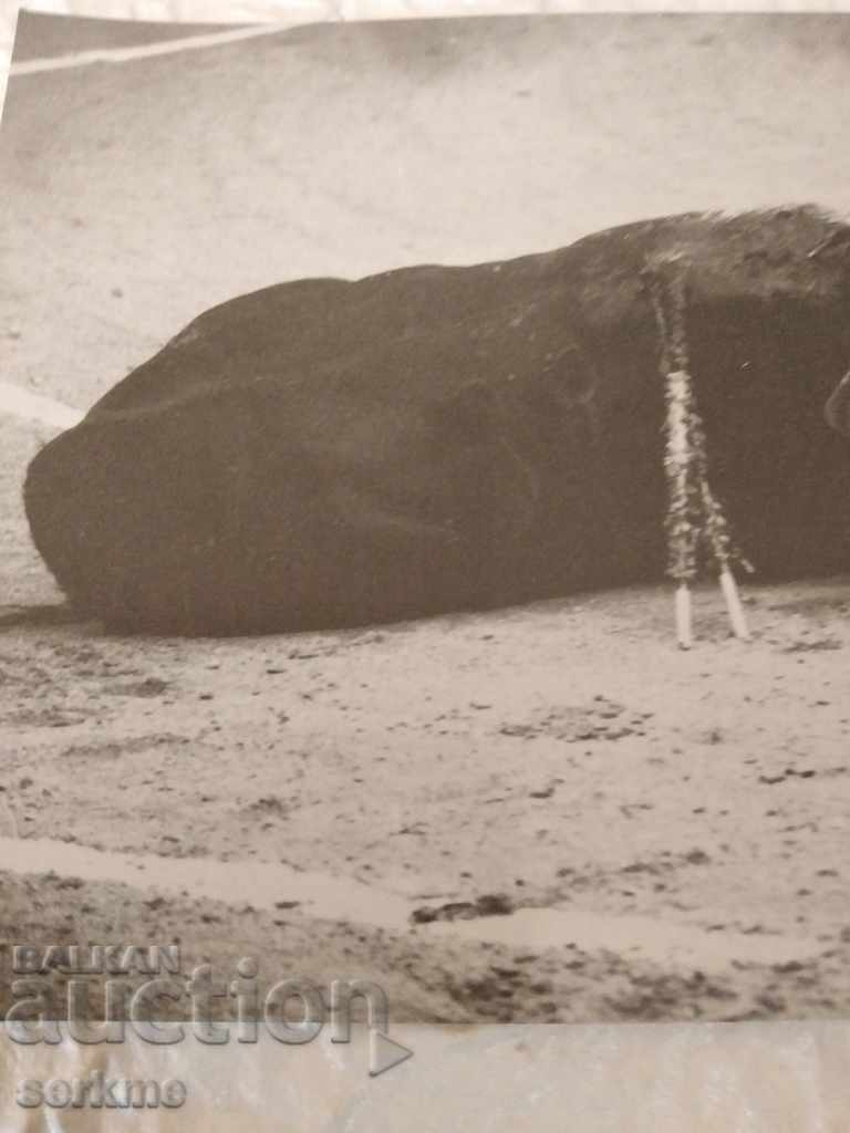 Auction A card Auction A card