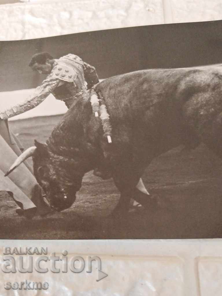 Auction A card Auction A card