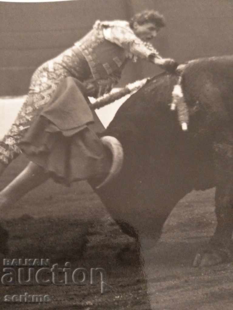 Auction A card Auction A card