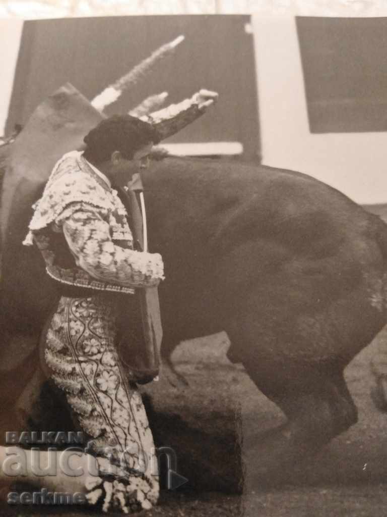 Auction A card Auction A card