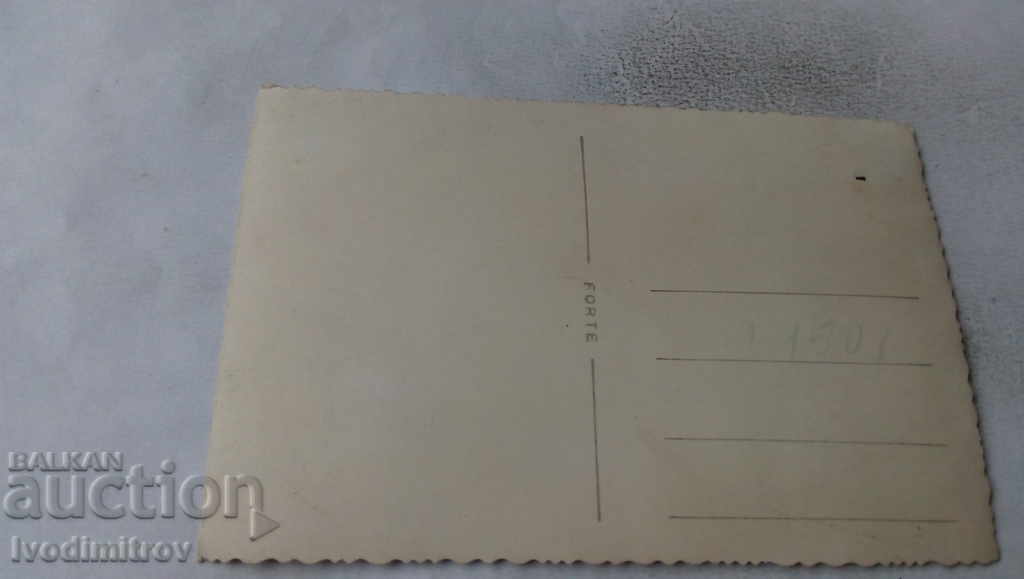 Photo Sofia Young girls with price 2.45 BGN | € 1.25 Photo Sofia Young girls with price 2.45 BGN | € 1.25