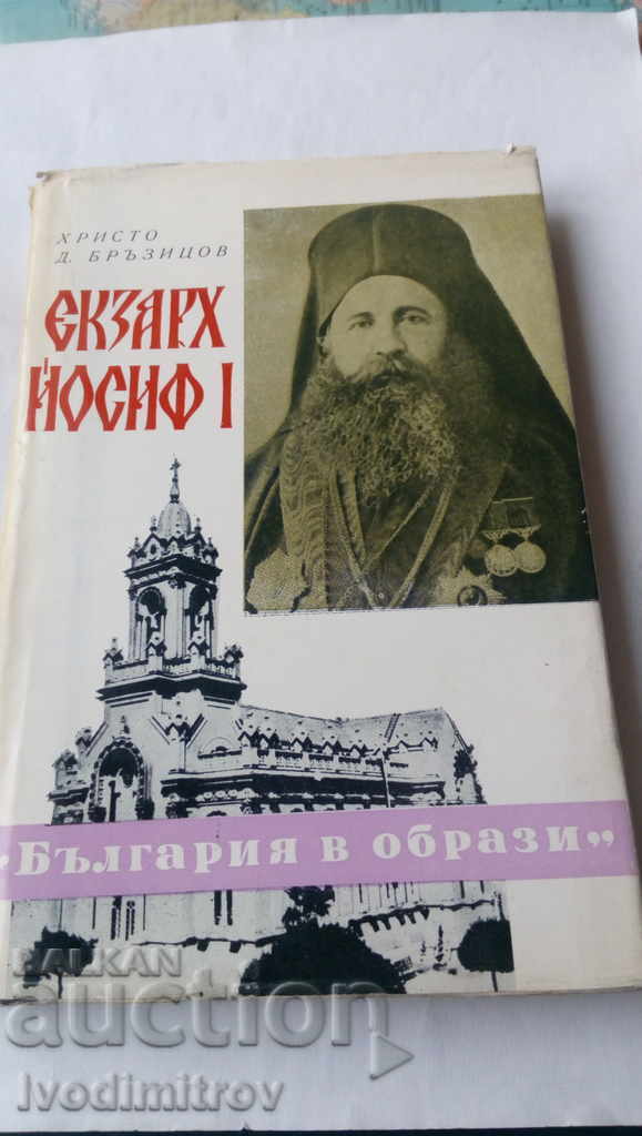 Екзарх Йосиф I - Христо Д. Бръзицов 1973