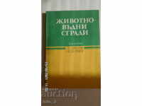 CLĂDIRI PENTRU CREȘTEREA ANIMALELOR - DINEV, NEDELCHEV