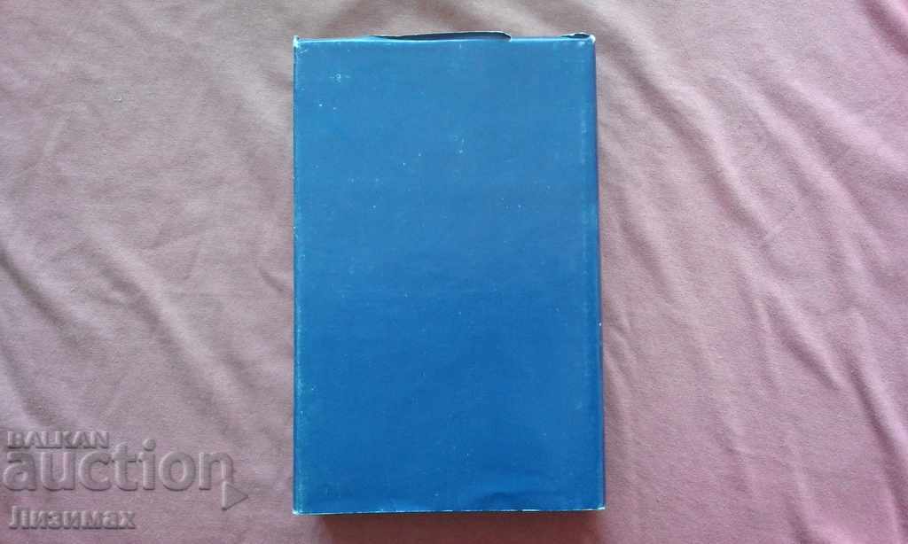 Auction The blue amethyst - Peter Konstantinov Auction The blue amethyst - Peter Konstantinov