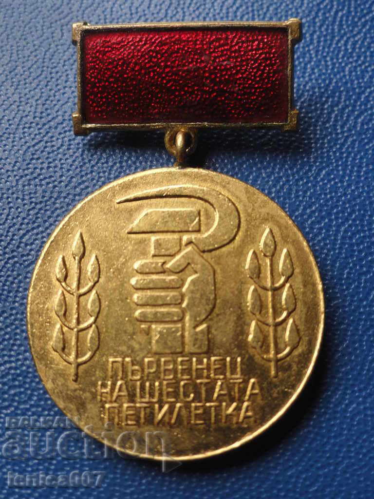 Medal "Sixth Five-Year Leader" - 5 Medal "Sixth Five-Year Leader" - 5