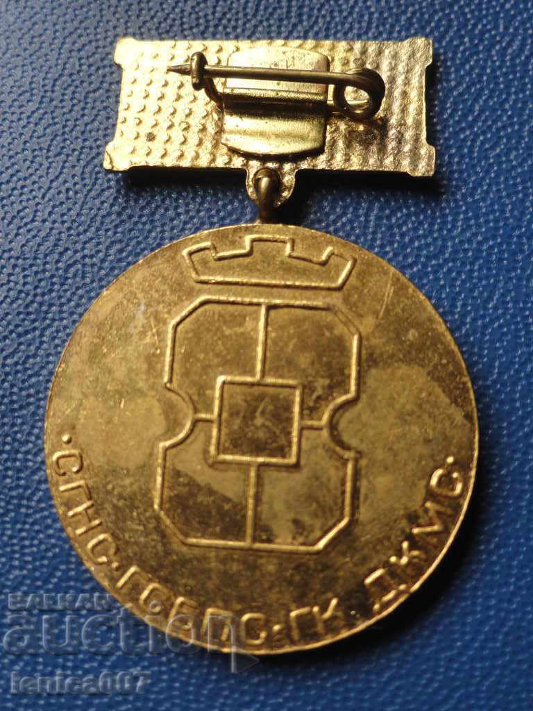 Medal "Sixth Five-Year Leader" - 6 Medal "Sixth Five-Year Leader" - 6