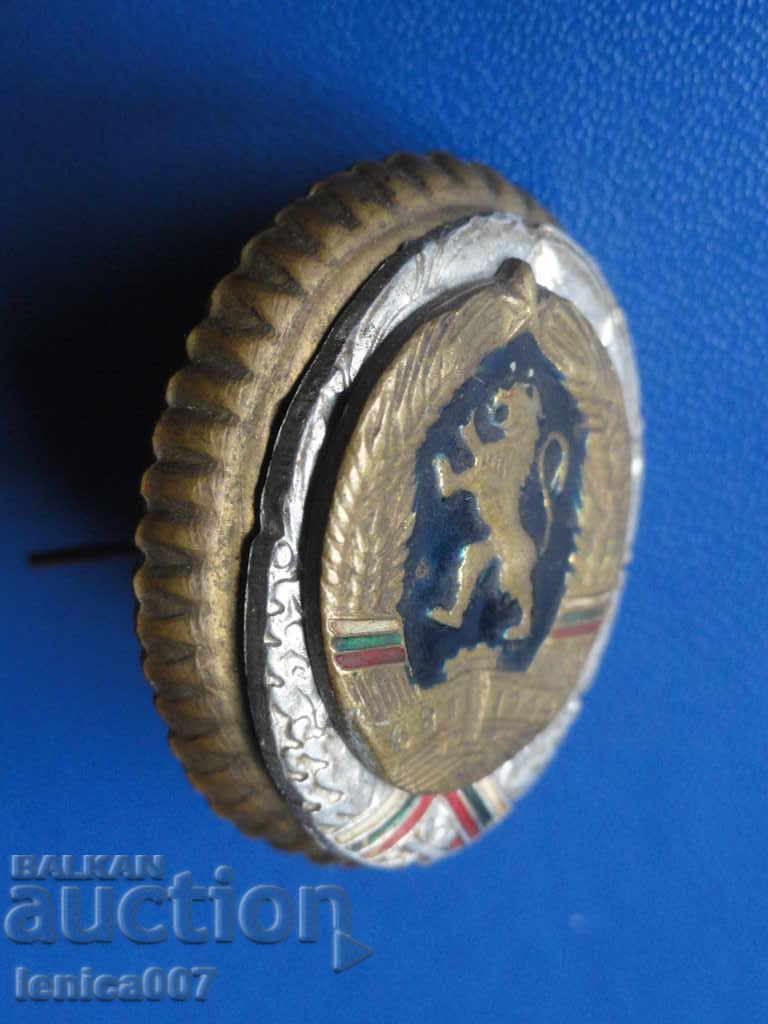 Auction Old cockade of the People's Republic of China Auction Old cockade of the People's Republic of China