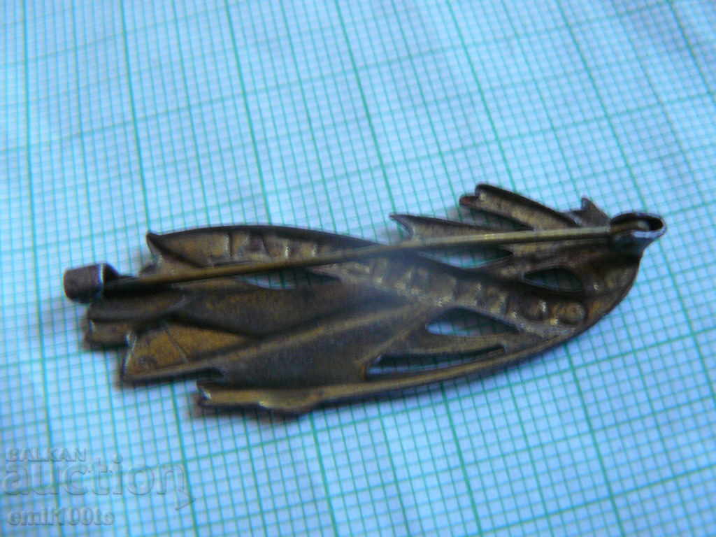 Rare badge - CONTINENTAL airlines Concord - 5