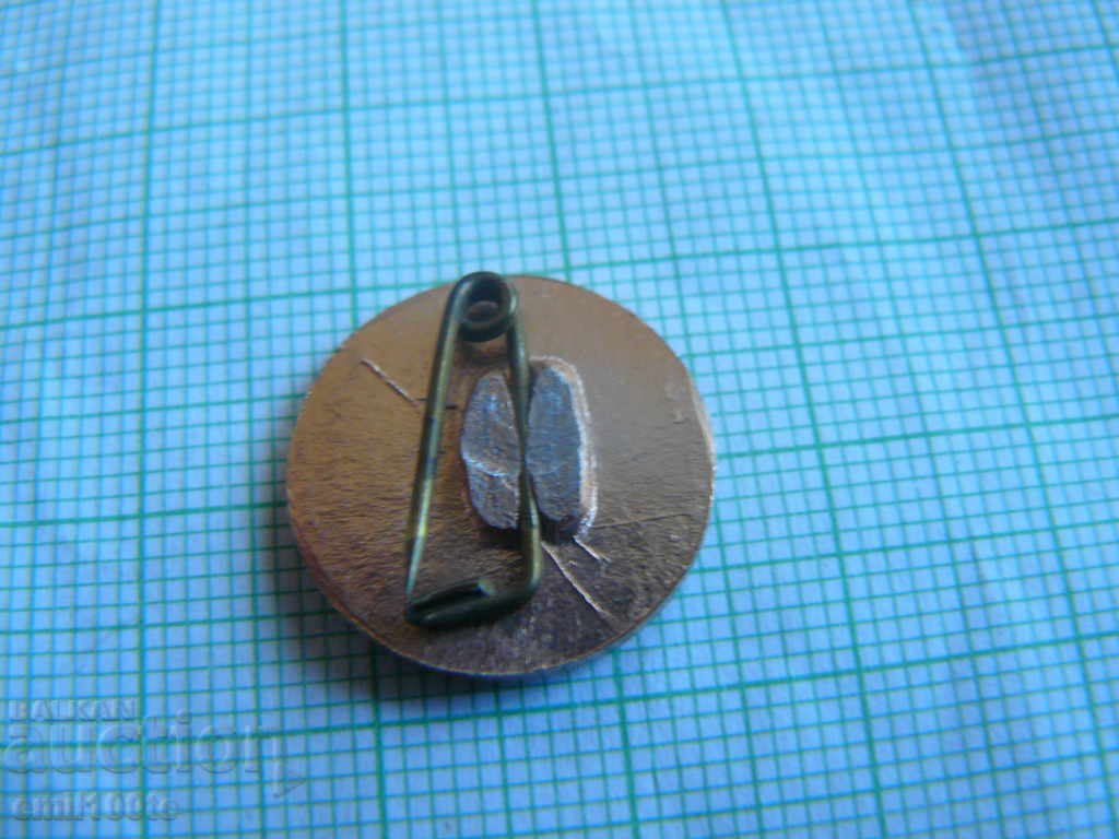 Badge - Football Club Nikolay Laskov Pomorie - 6 Badge - Football Club Nikolay Laskov Pomorie - 6